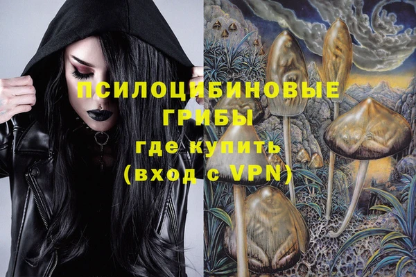 сатива Аркадак