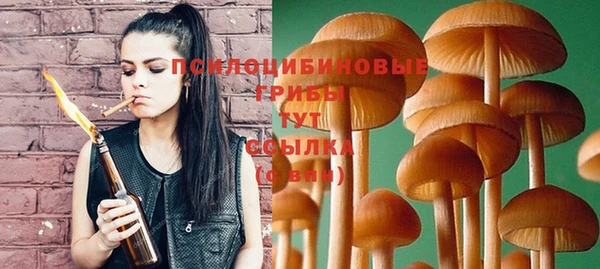 сатива Аркадак