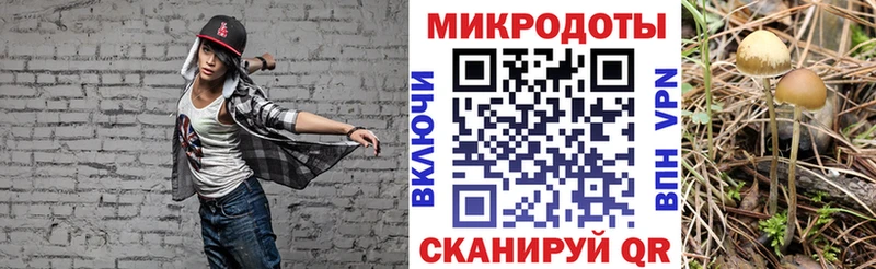 дарк нет Telegram  наркота  Инза  Псилоцибиновые грибы Psilocybine cubensis 