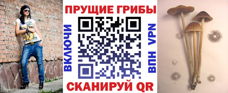 Псилоцибиновые грибы мухоморы Инза